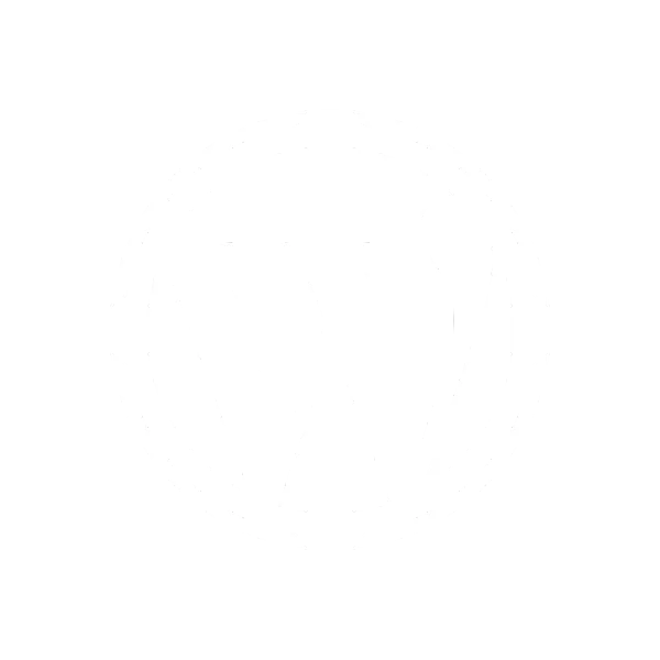 WordPress-Kosten: So viel kostet eine WordPress-Website 2024